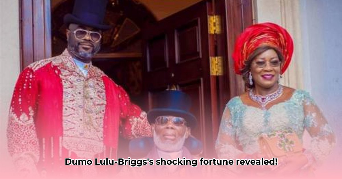 dumo-lulu-briggs-net-worth